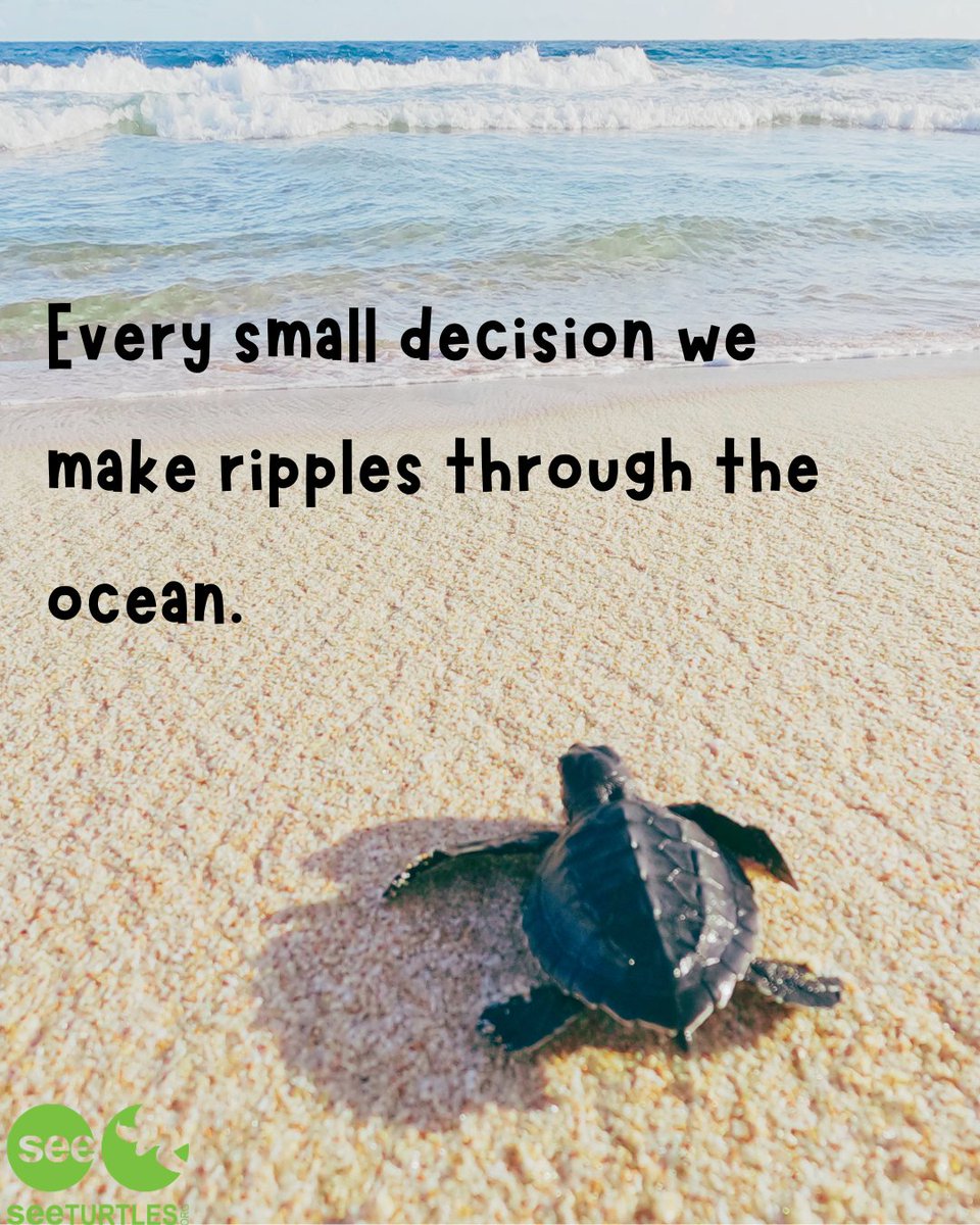 Travelers Against Plastic tweet media