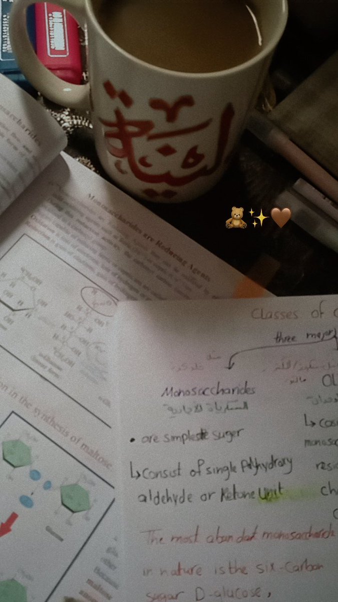 Lenaashraf2006's tweet image. Lina, a medical student from Gaza.
My dream to become a doctor needs your help.
Goal: $2,700 for university tuition.
Every donation brings Gaza closer to having another 
healer.
Please help 🙏 😭 

chuffed.org/project/155142

#SaveGazaStudents #FutureDoctor #Gaza