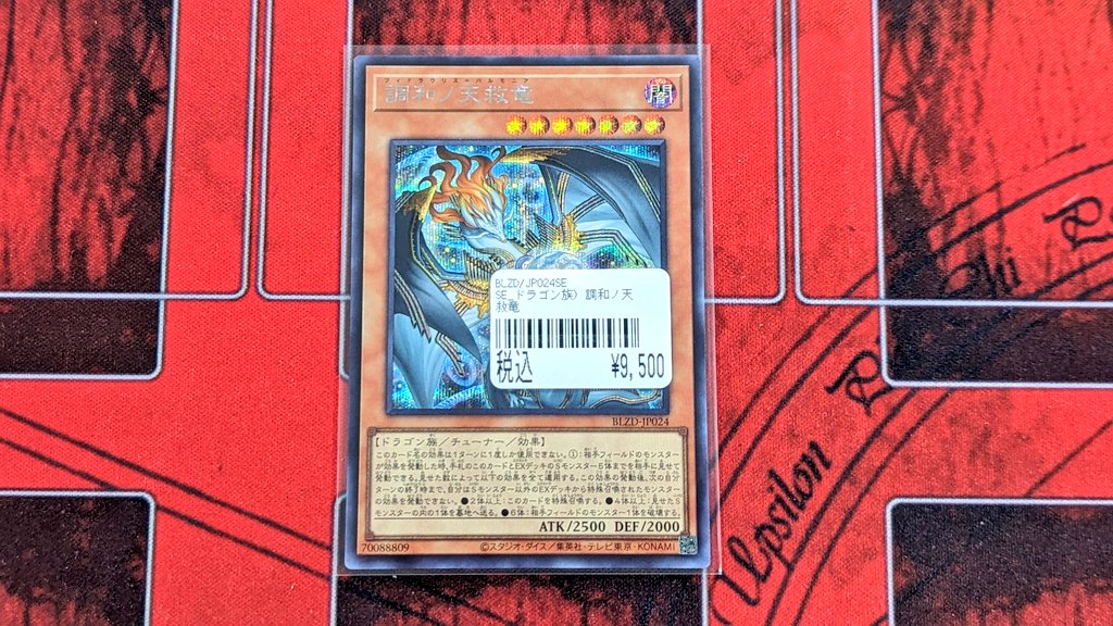 入荷情報》 ✨遊戯王 OCG✨ 🔥調和ノ天救竜🔥 大人気の遊戯王 調和ノ天