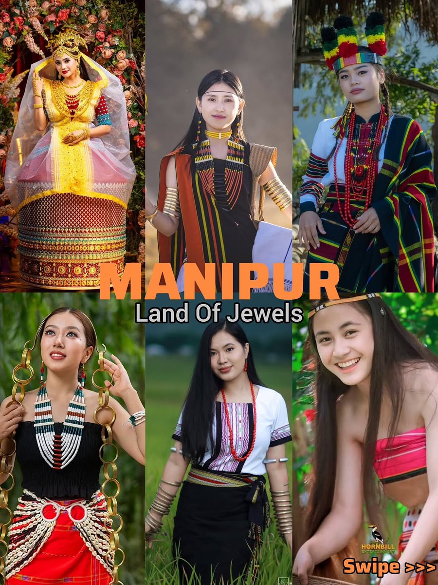 Go Northeast tweet media