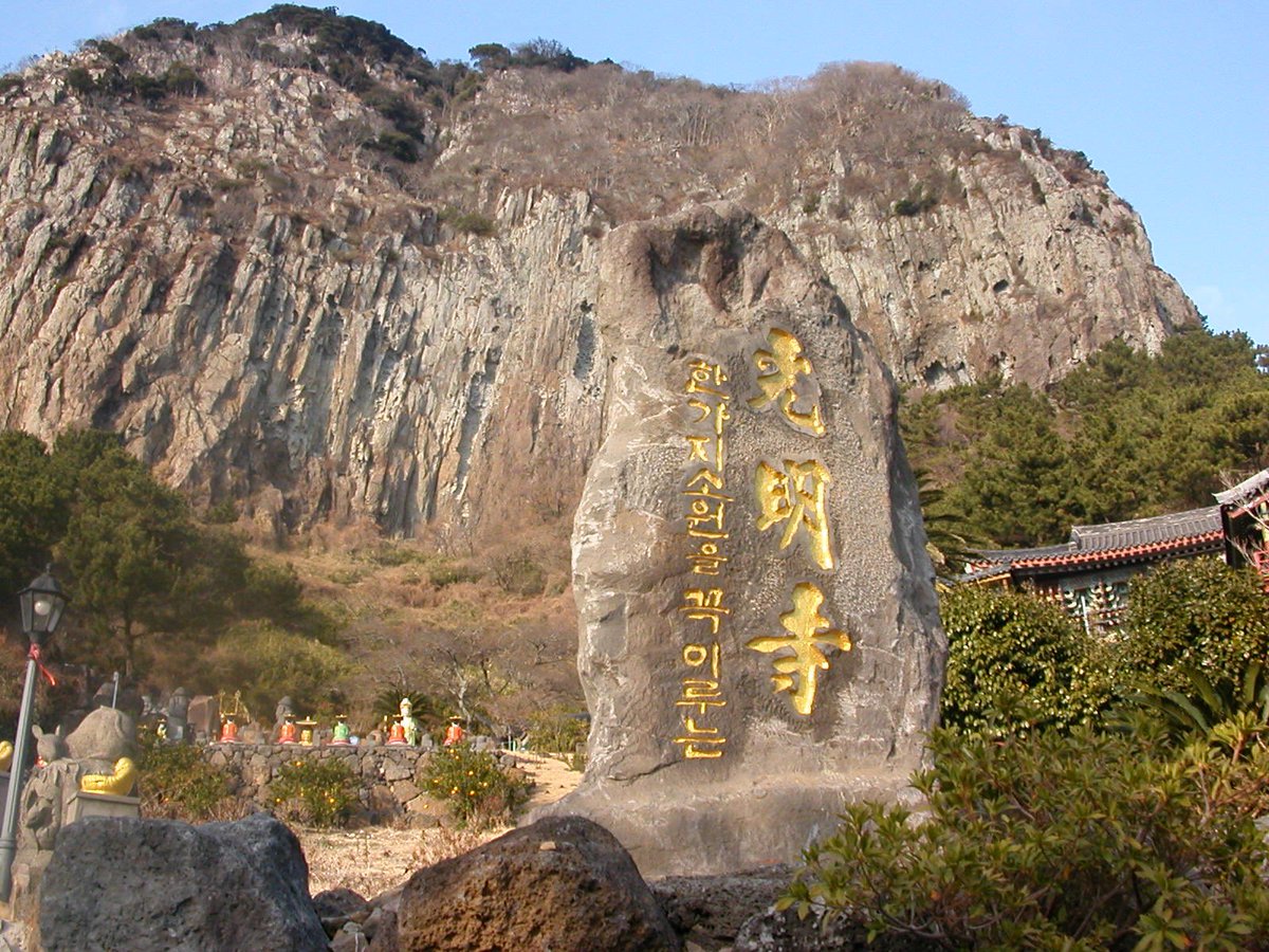 duu . . (듀) tweet media