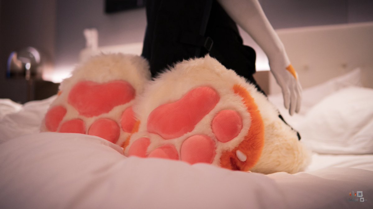 超级肉垫大合集！
📷：@风云大Q
#FursuitFriday