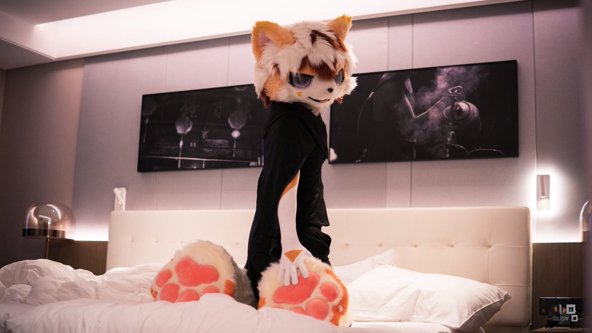 唐糖🔜八奇志 tweet media