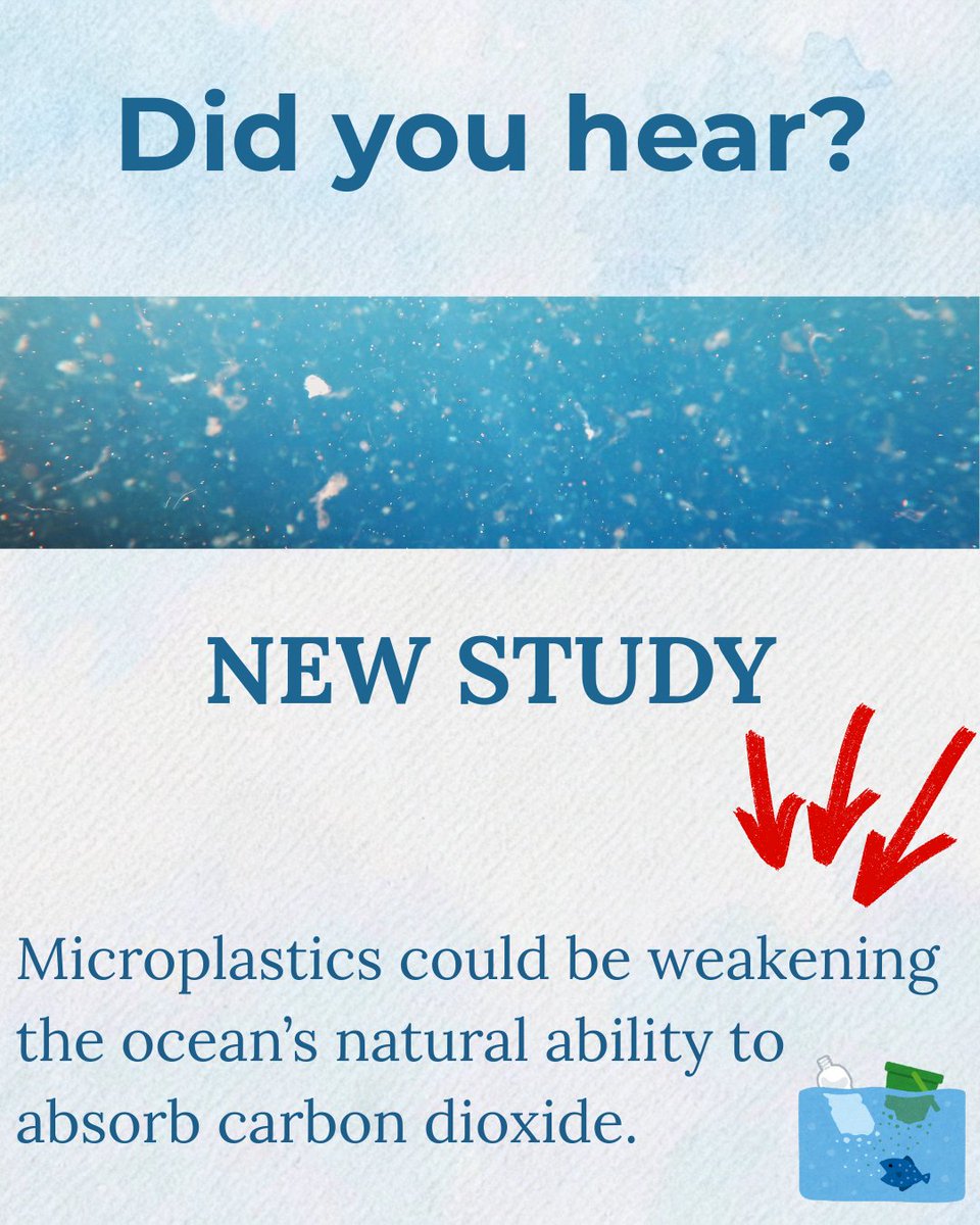 Travelers Against Plastic tweet media