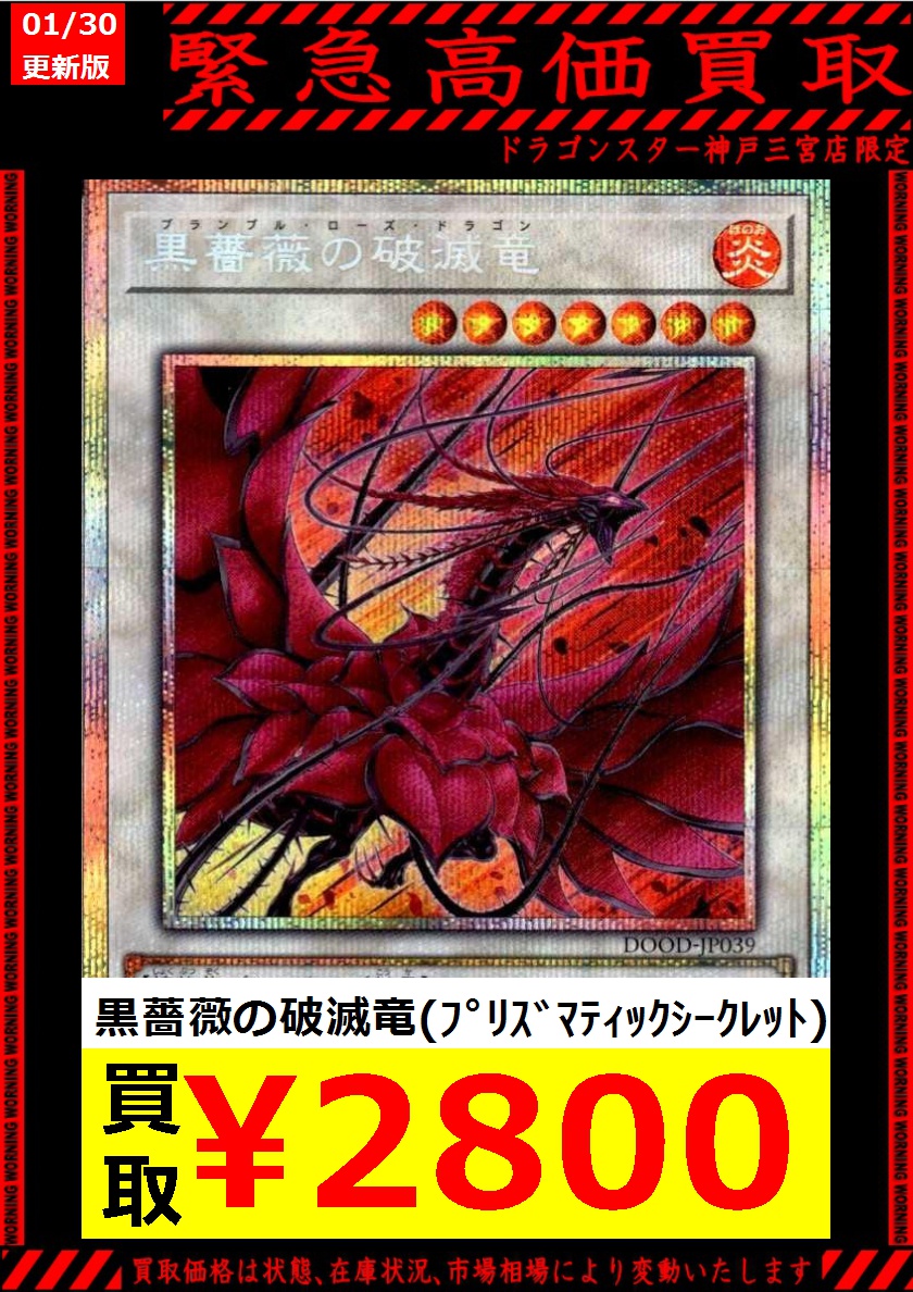 遊戯王　EU版　黒薔薇の破滅竜　スターライトレア 遊戯王 EU版 黒薔薇の破滅竜 スターライトレア 遊戯王 EU版 黒薔薇の