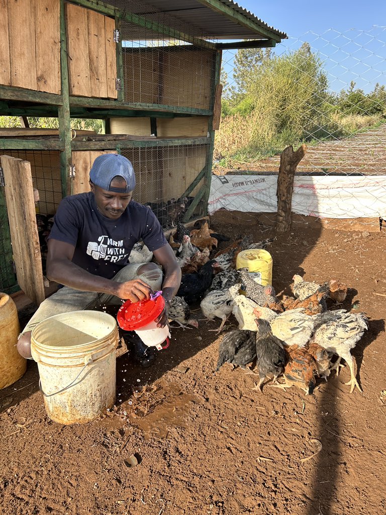 The first medication. The first vaccine for your Kienyeji chicken is cleanliness.

Clean the house. Remove droppings daily.
Wash drinking containers daily.
Clean feeders daily.

If you do this every day. 
You  will avoid sick birds. 
You will prevent deaths.

This practice stands