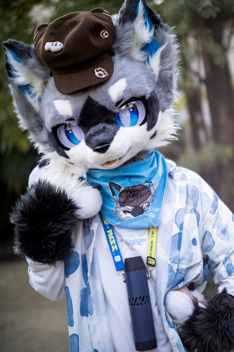 UDon_爱吃乌冬 tweet media