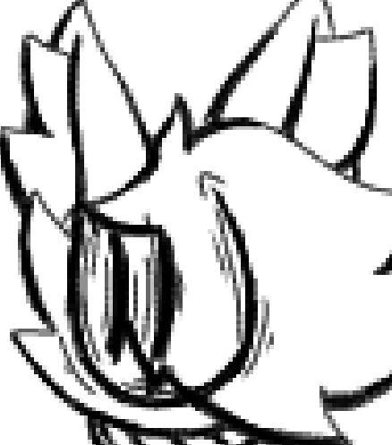 Just VEnd tweet media