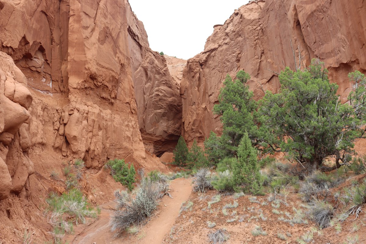 Manuela Casasoli tweet media