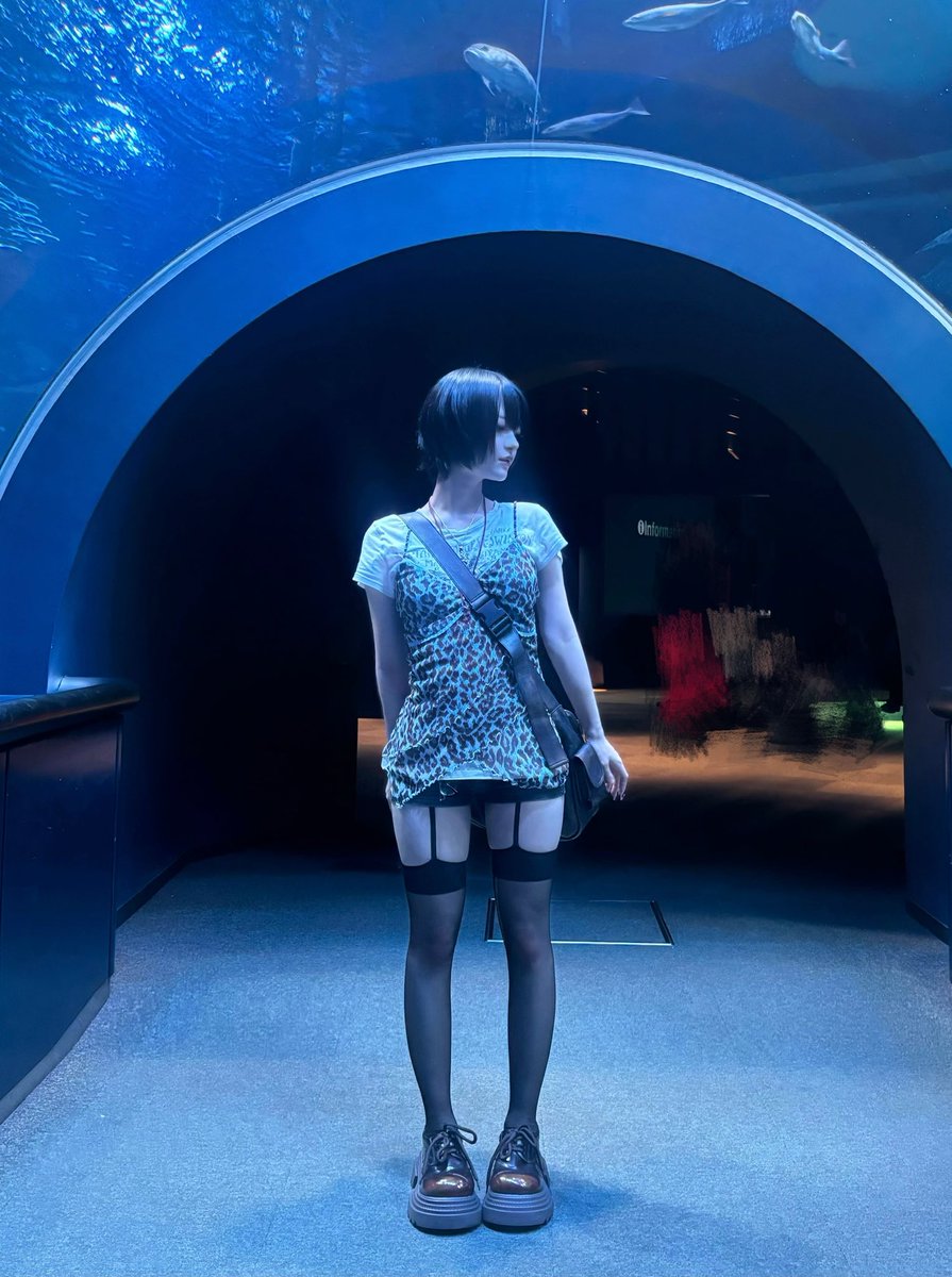 東雲 青空【AVAM】 tweet media