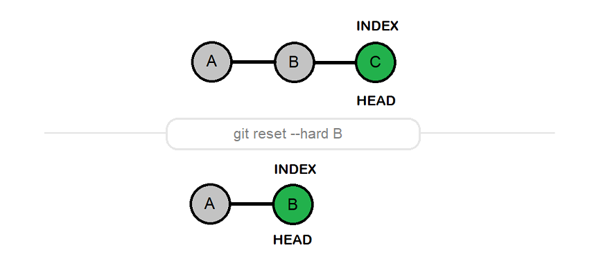 Megha Bhardwaj tweet media