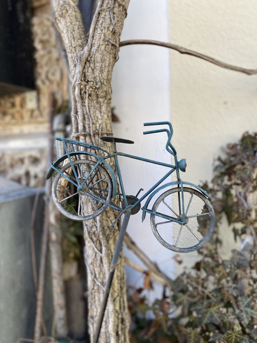 Sonia Zuccaro tweet media