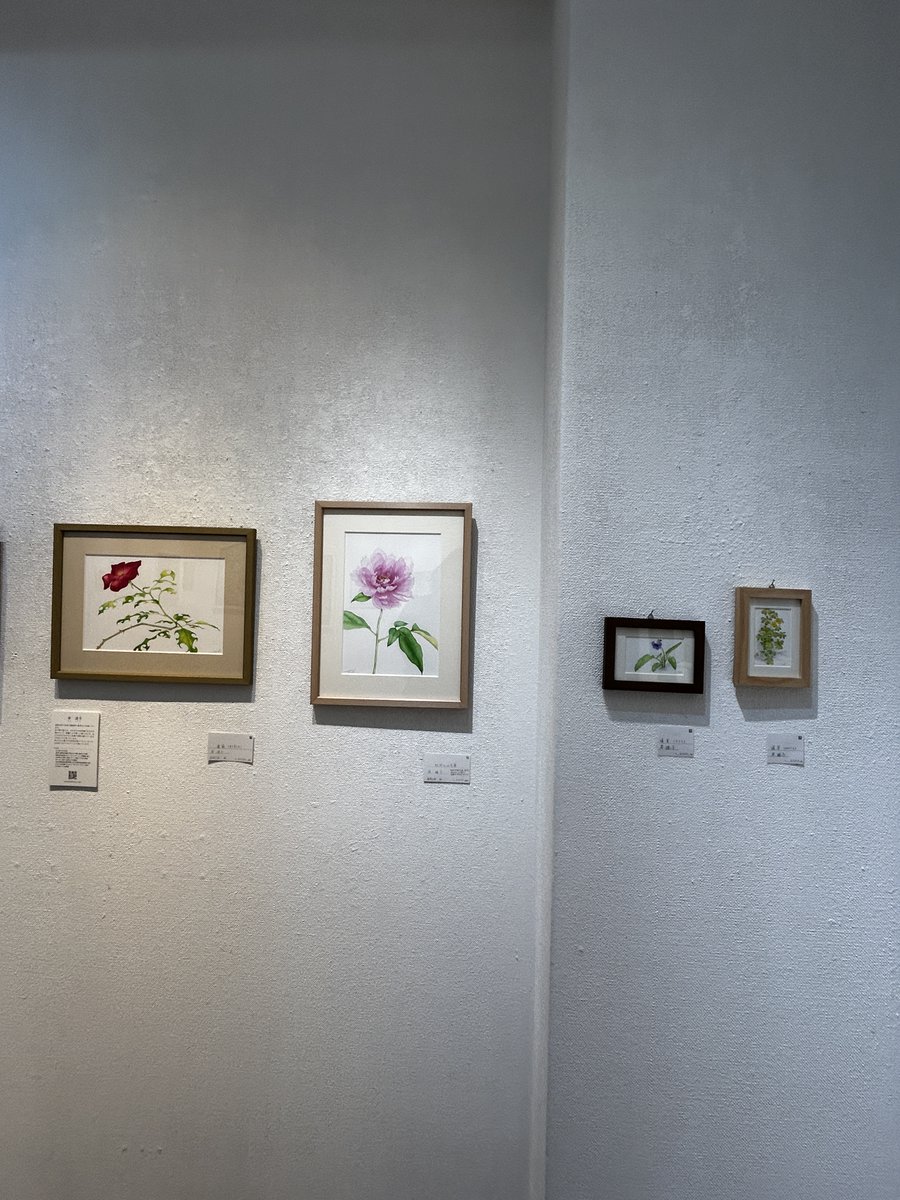 ywgarou's tweet photo. 花の絵展

岸透子さんの作品

絵の中の花が、 そっと待っています。

#ART #水彩画 #Watercolor　＃花の絵　#Flower https://t.co/AdkZWKiKgk