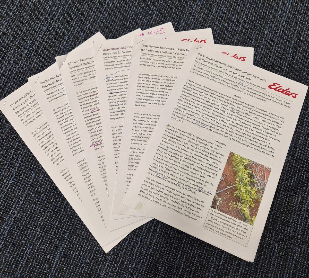 Charlie Bensen tweet media