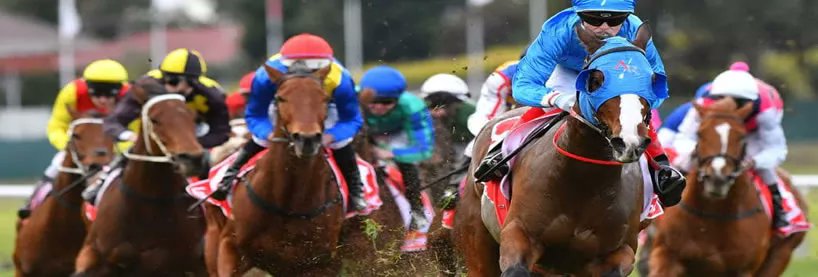 Get set for tomorrow's #Racing with our FREE previews and #BestBets for NSW and Vic metro meetings!

Caulfield: beforeyoubet.com.au/caulfield-raci… #Caulfield

Rosehill: beforeyoubet.com.au/rosehill-racin… #Rosehill