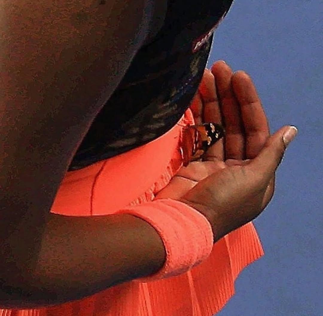 culturejpg's tweet image. Naomi Osaka carefully removing a butterfly that landed on her nose while playing tennis