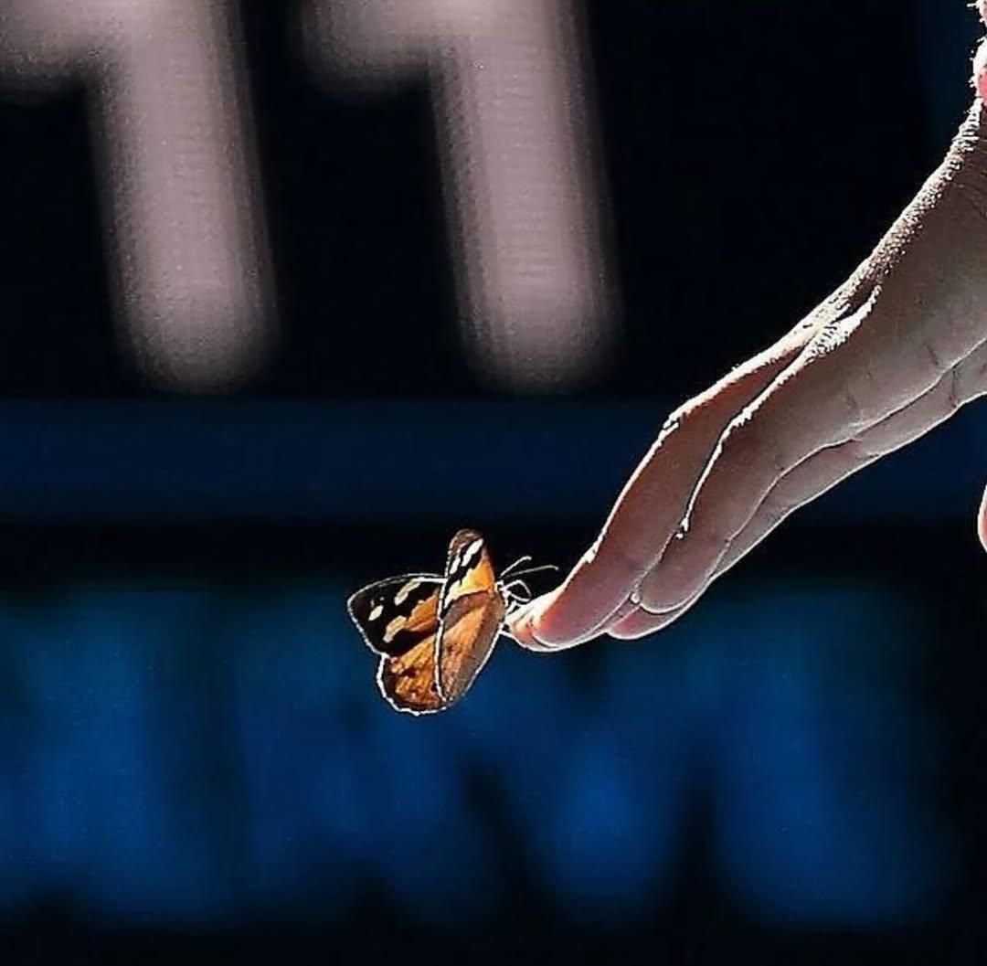 Naomi Osaka carefully removing a butterfly that landed on her nose while playing tennis