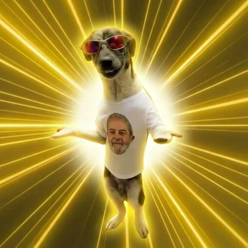 thiscatsmokes's tweet photo. Meet $peell The next animal runner on trenches This is dancing dog exploding on Instagram, gained insane views 39 million views and 2.9 million likes in 2 days https://t.co/HNdNbICGyH https://t.co/fKkQoXCKR0