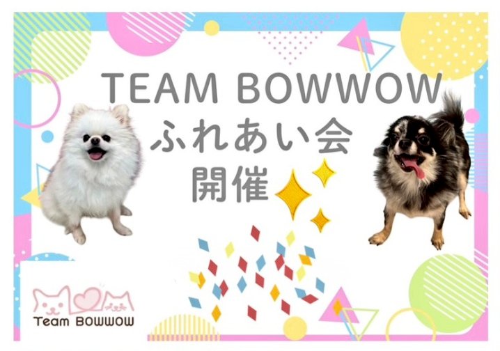 drop1021's tweet photo. 【犬山動物総合医療センター公認】
🌿TeamBOWWOWから
第3回ふれあい会のお知らせです🌿

2026年2月8日（日）10:00~11:00
ファミリープラクティス1階にて
予約不要
譲渡会とは違いTeamBOWWOWの子達と触れ合って頂く会となります。
たくさんの方々のご参加お待ちしております♪
https://t.co/Wl8xdSBV0z https://t.co/rUckAZlWMp
