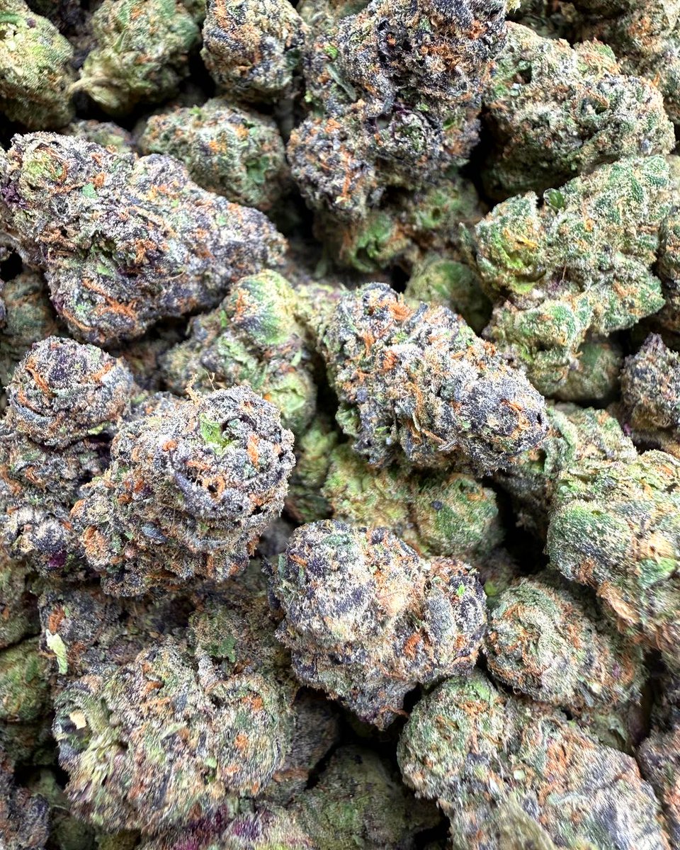 AliceW56543's tweet photo. Blue chew 🍬 ⛽️ 
Loud candy gas nose
Indoor exotic https://t.co/ihS81130Xj