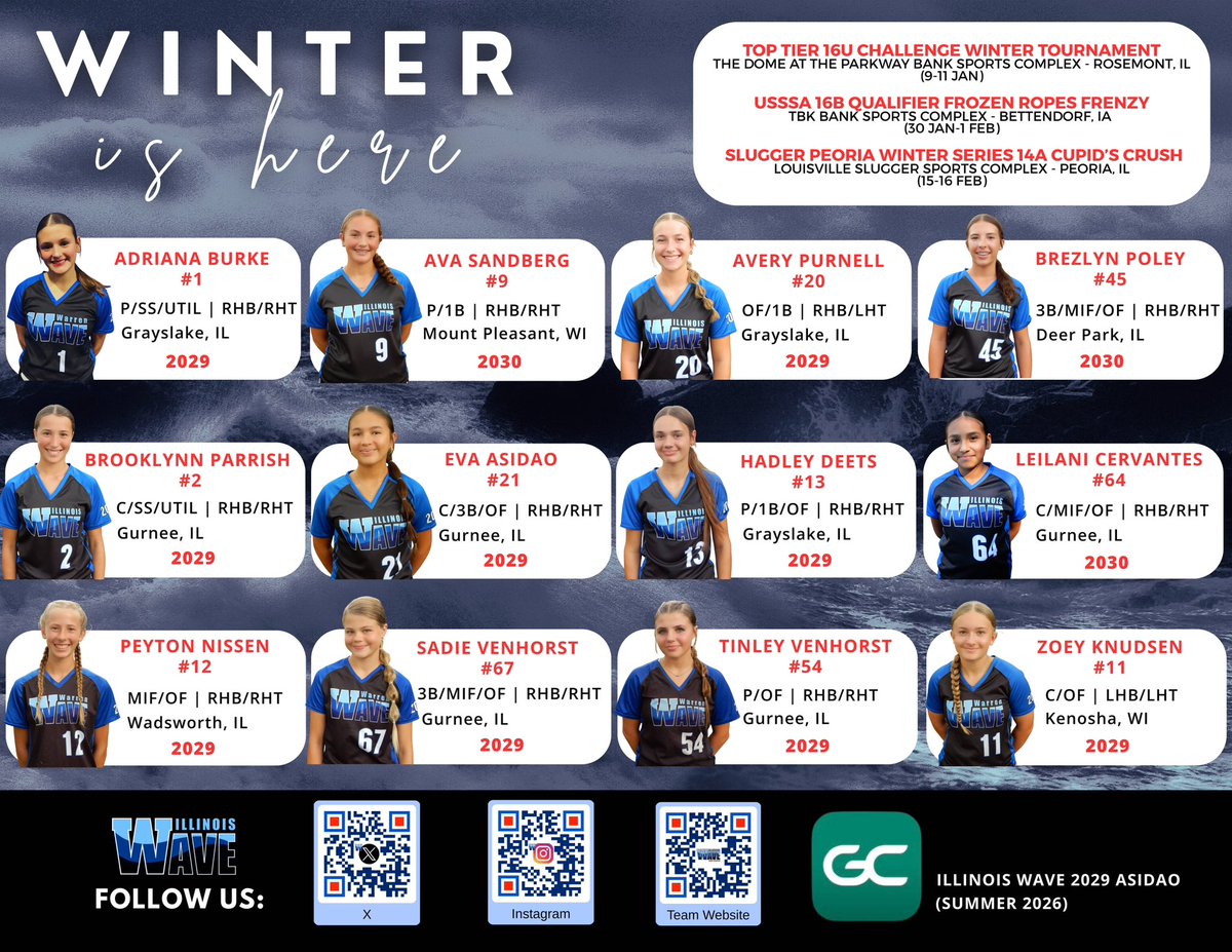 Illinois Wave 2029 Asidao tweet media