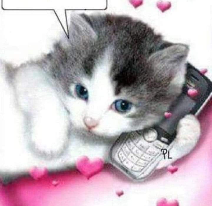 ㅤㅤ#Usser
ㅤAnuncio para todos con los que tengo rol, no he respondido desde ayer... Quise darme un respiro al ser demasiados roles activos. Ya por la noche o mañana me tomaré el tiempo de responder a todos...
No se impacienten ni crean que he dejado el rol botado...