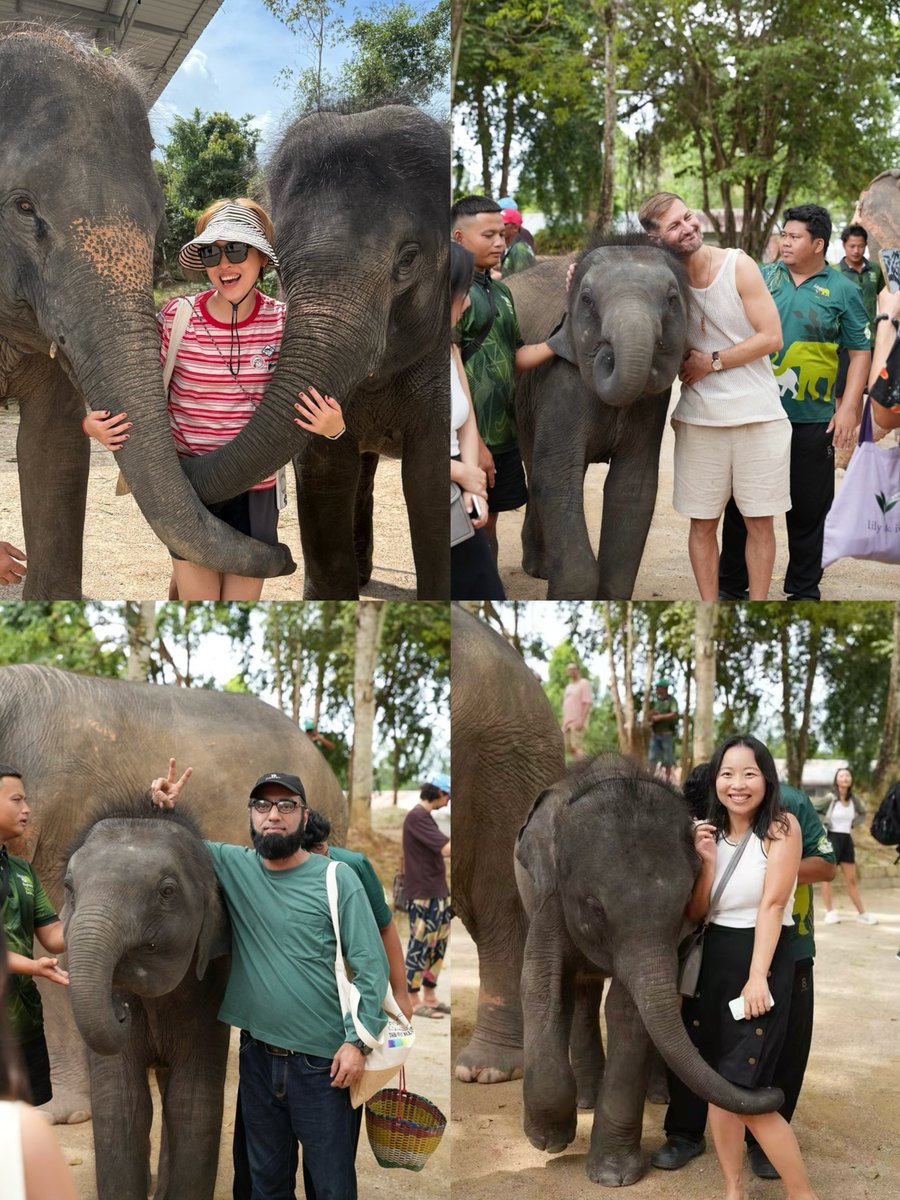 thenetcircle's tweet photo. Up close with Phuket's gentle giants!🐘
Feeding, slow walks, muddy hands, and plenty of close-up encounters—no shows, no rush.🍌
Our day was filled with shared smiles, candid snapshots and moments we'll remember long after.📸Can't wait for more GG adventures!
#ElephantSanctuary https://t.co/Z5puBpmJny