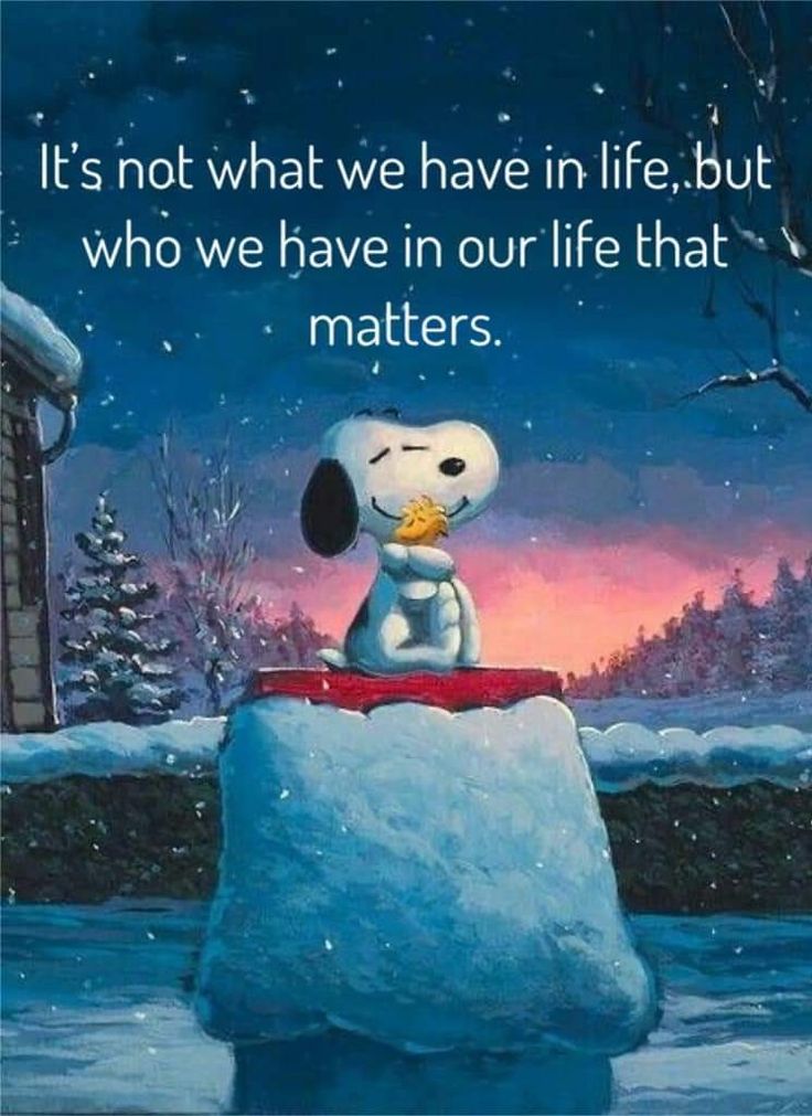CornerSnoopy's tweet photo. https://t.co/N9gA85e5CQ
