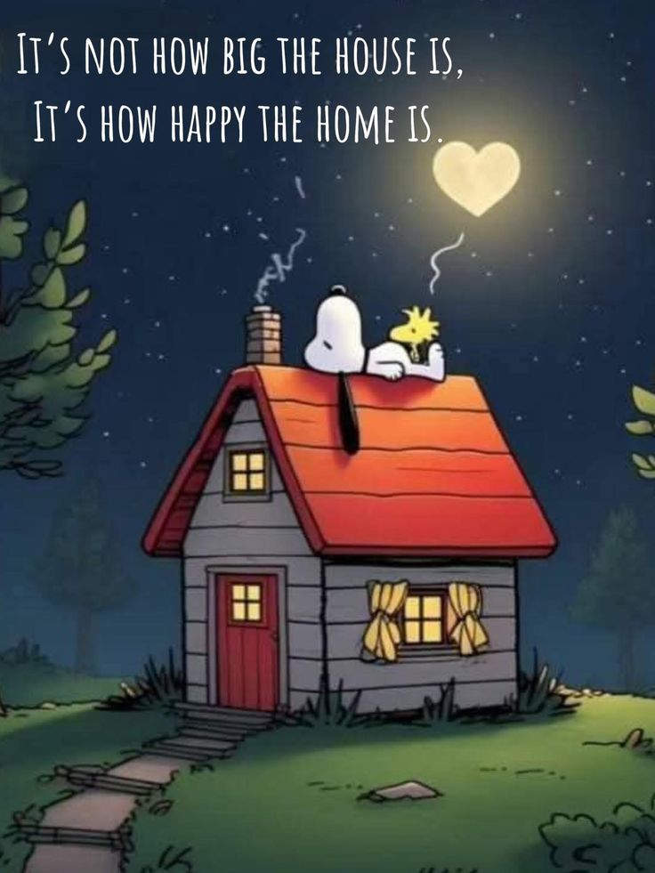 The Cat Corner (@cat_corner123) on Twitter photo 