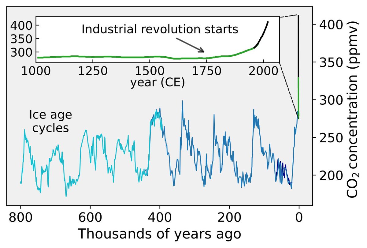 Emil Kirkegaard tweet media