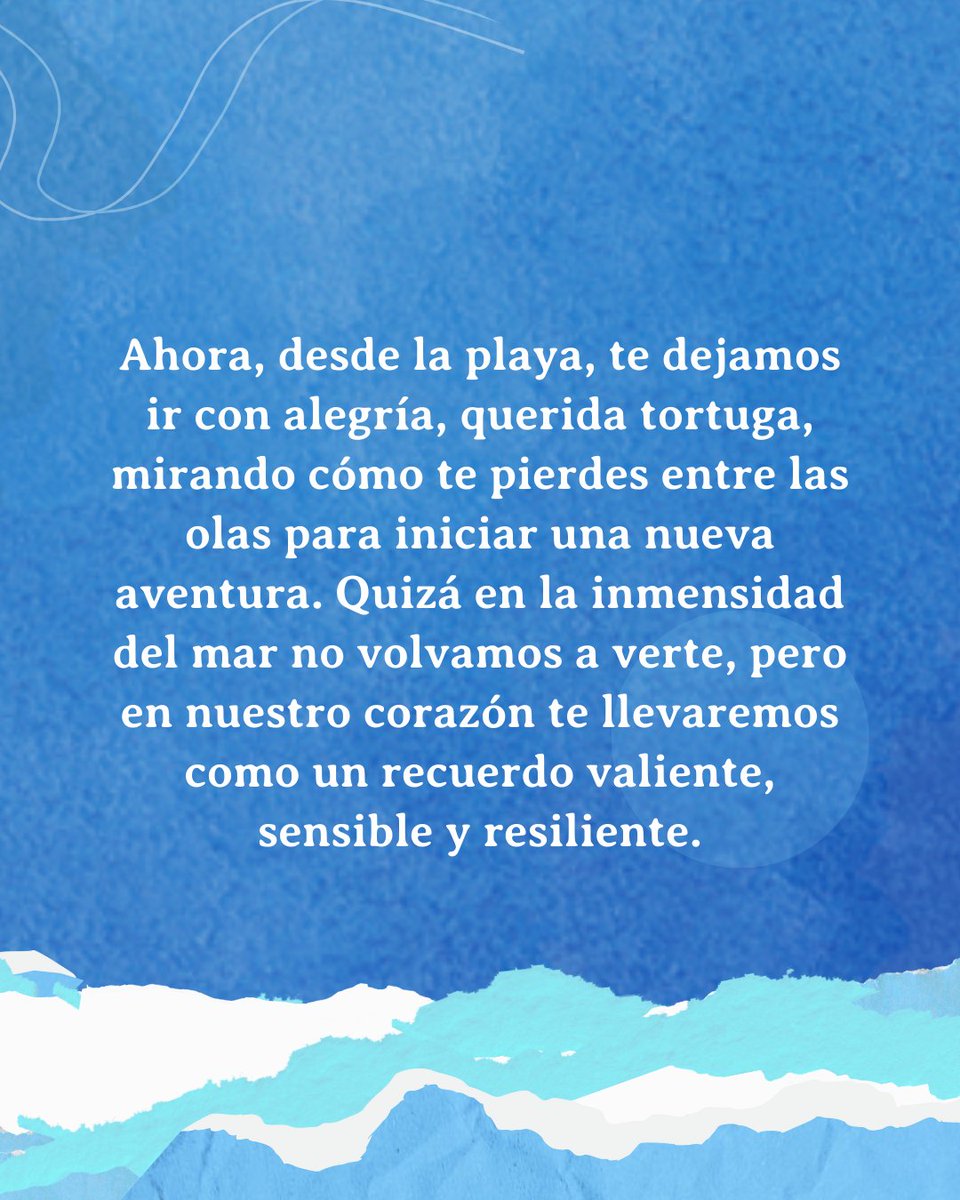 El llanto de las tortugas tweet media