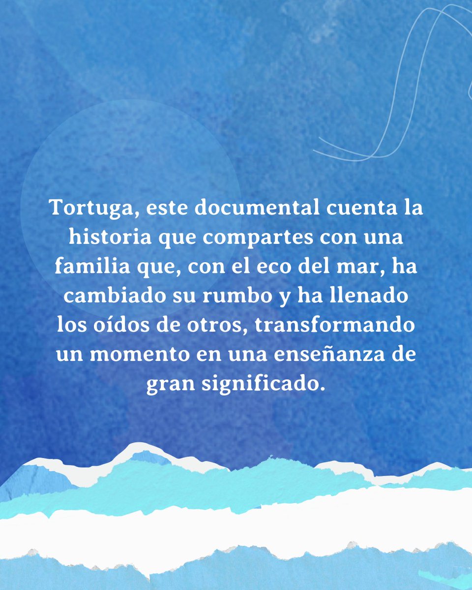 El llanto de las tortugas tweet media