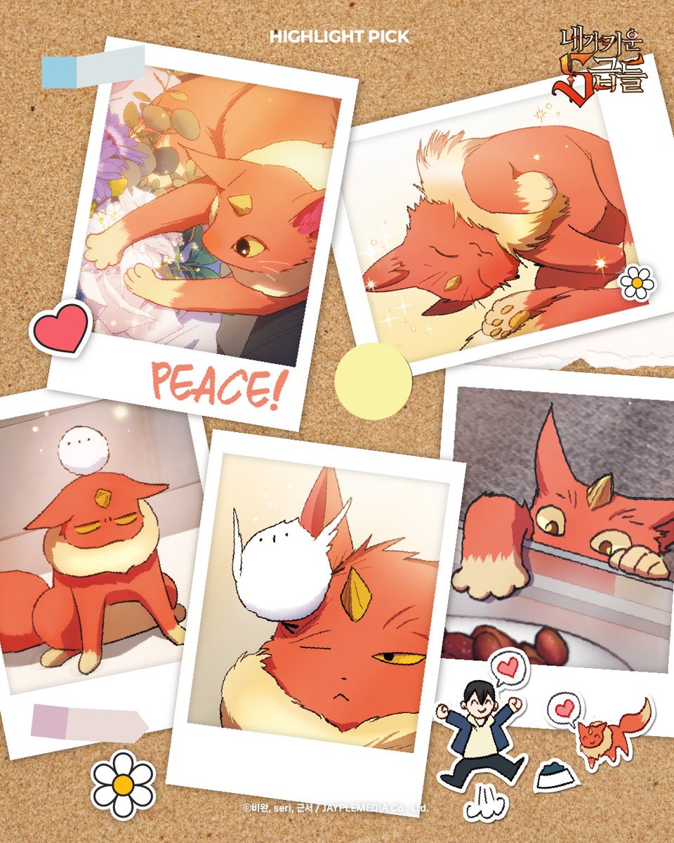 태양샵 TYshop tweet media