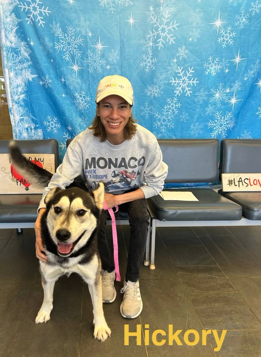 Mateo Rosiles tweet media