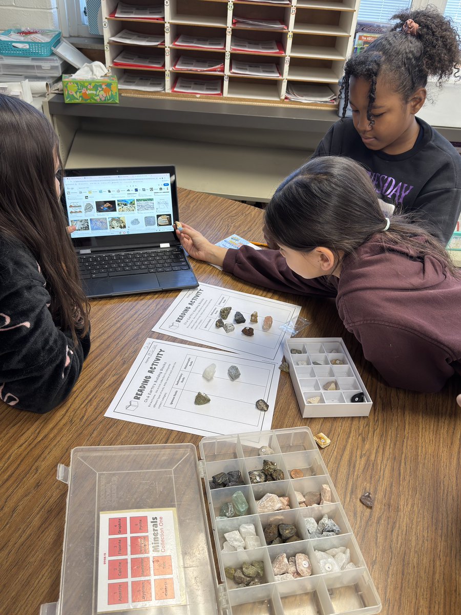 Diana Guzman tweet media