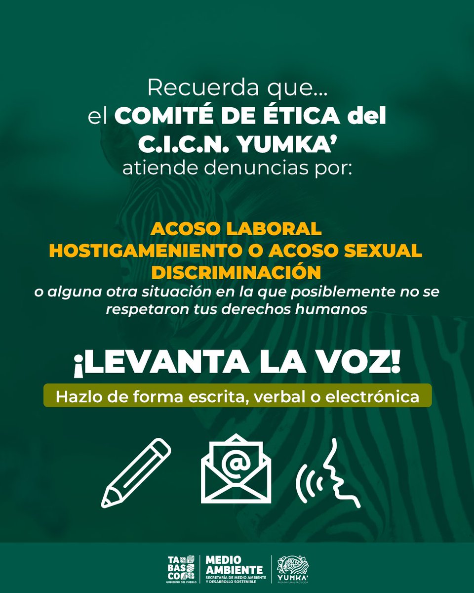En el C.I.C.N. YUMKA’ tu integridad es prioridad. 🛡️ El Comité de Ética está disponible para atender denuncias sobre:
🚫 Acoso laboral
🚫 Hostigamiento o acoso sexual
🚫 Discriminación
¡Levanta la voz! Tu denuncia puede ser escrita, verbal o electrónica. 🗣️ #Eticalaboral #Yumka