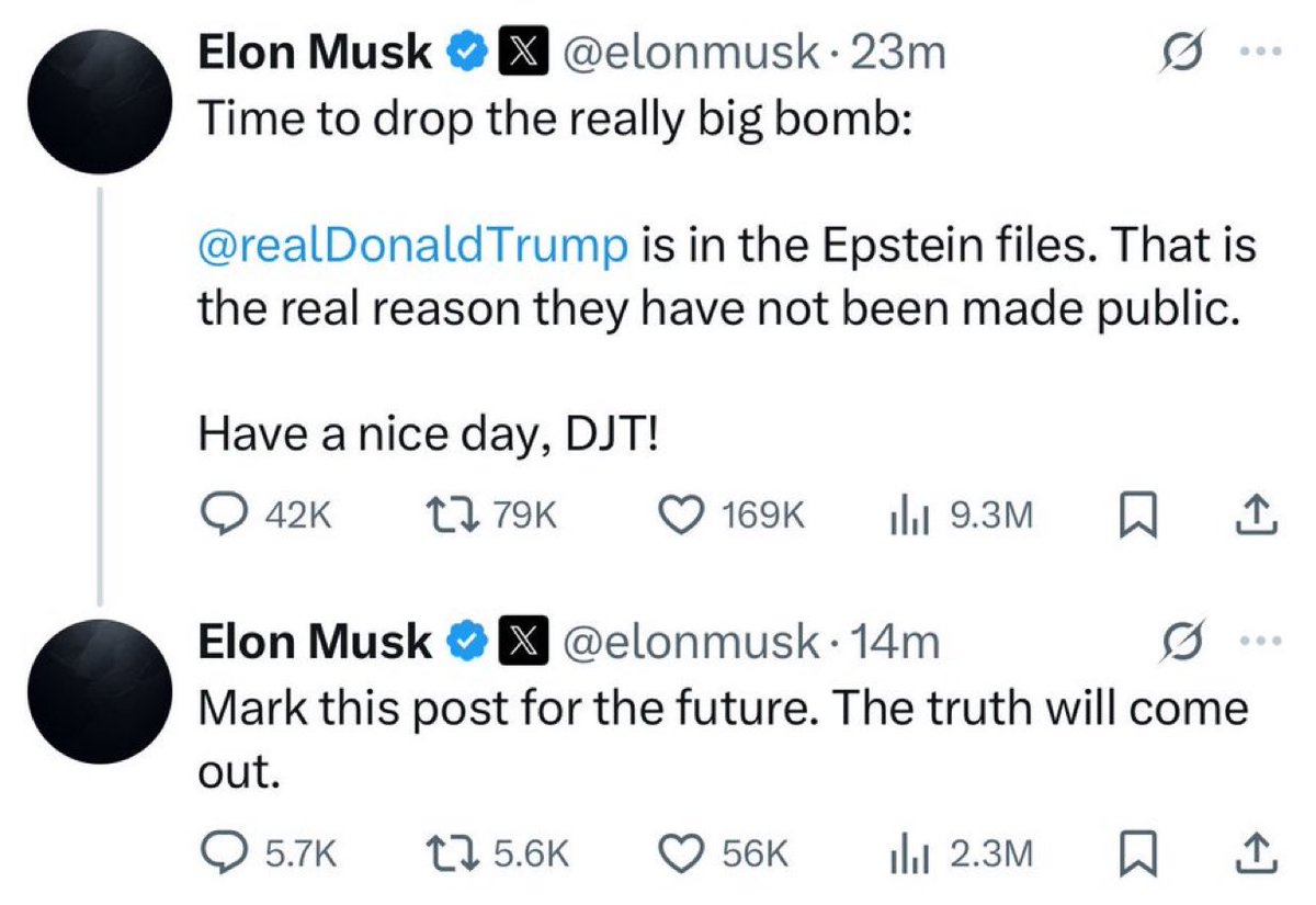 Elon Musk: “Donald Trump is in the Epstein files. That is the real reason they have not been made public.”