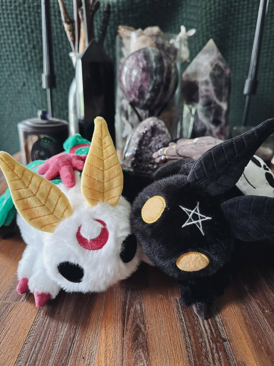 BeserkClothing's tweet image. How cute does @bramblefae_ look with our Deaths Head and Lunar Moth Plush Toys?! 🦋

Featuring embroidered wings and details, wired antenna and super soft fabric, these #moth plush toys may be our best yet! 👀🖤

beserk.com.au/beserk-clothing