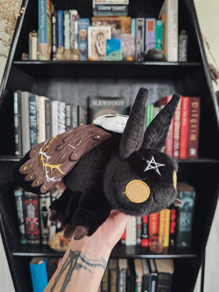 BeserkClothing's tweet image. How cute does @bramblefae_ look with our Deaths Head and Lunar Moth Plush Toys?! 🦋

Featuring embroidered wings and details, wired antenna and super soft fabric, these #moth plush toys may be our best yet! 👀🖤

beserk.com.au/beserk-clothing