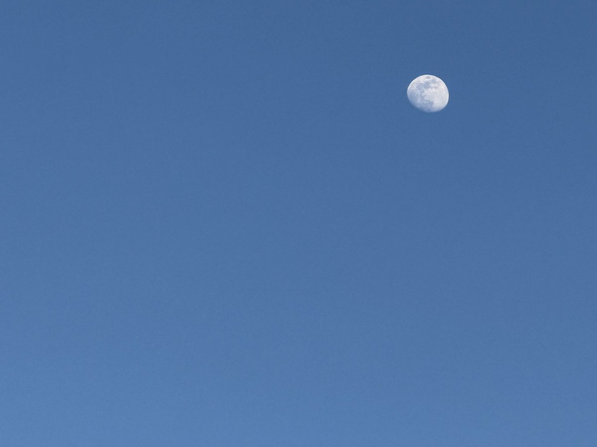 David Hitt tweet media