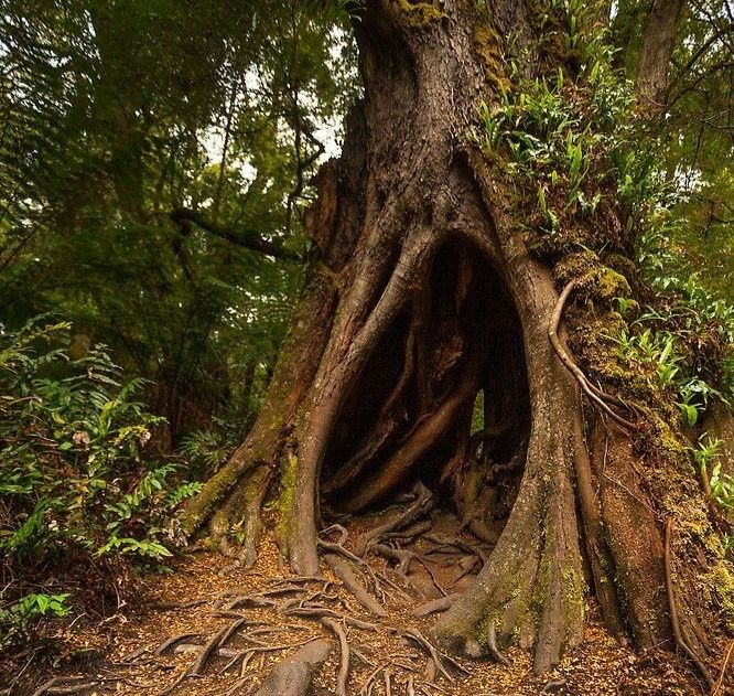 GOBLINC0RE's tweet image. 