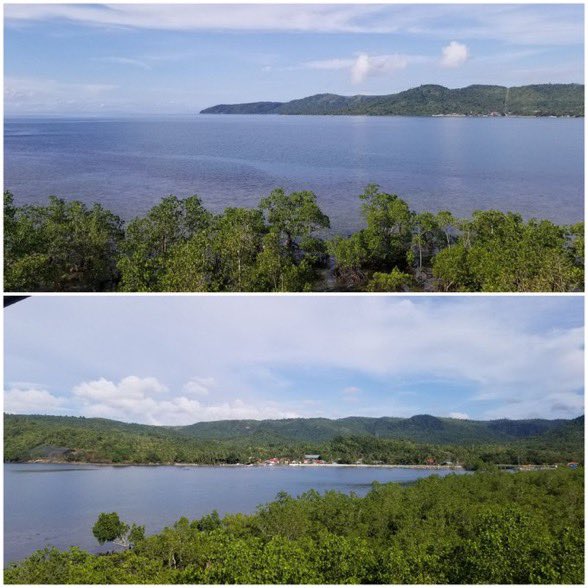 JohnMcNicholUS's tweet image. Panoramic views of #LeyteGulf at a family beach resort on Samar during a weekend road trip. We just stopped by &amp;amp; asked "Is that top room available?" 🙏 Even had a kind dog minding the porch for us. Amazing that off these shores raged one of the world"s largest naval battles.
