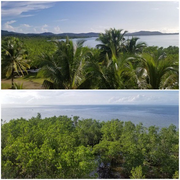 JohnMcNicholUS's tweet image. Panoramic views of #LeyteGulf at a family beach resort on Samar during a weekend road trip. We just stopped by &amp;amp; asked "Is that top room available?" 🙏 Even had a kind dog minding the porch for us. Amazing that off these shores raged one of the world"s largest naval battles.