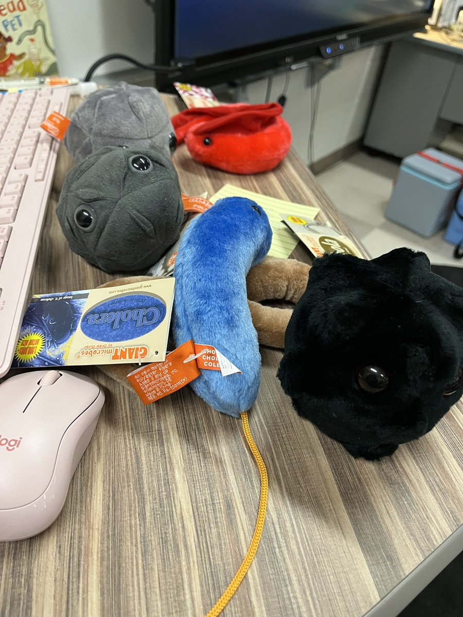 Young Ah Rhee tweet media