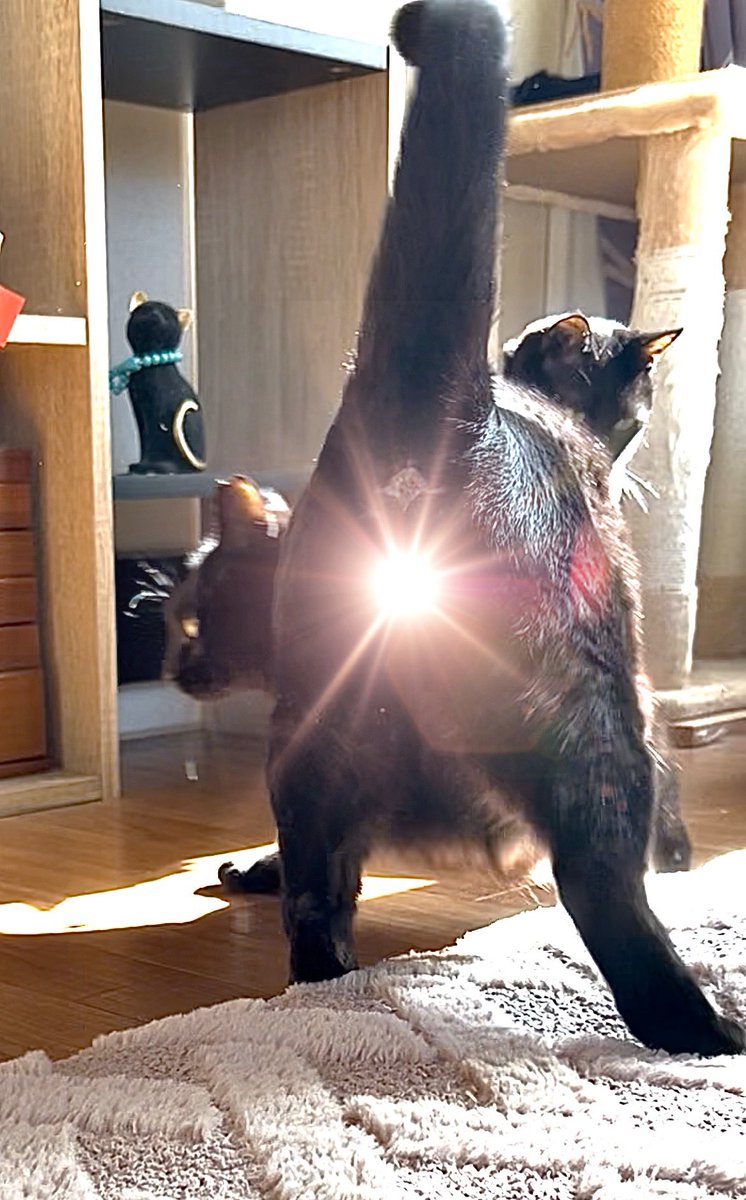 RIRI722883's tweet image. #キンタマキラキラ金曜日