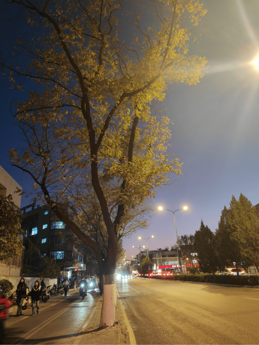 DICASDOLEH's tweet photo. 旧物翻出旧时光，不舍扔就归置好——断舍离不是全扔，是给回忆留个整洁位置 https://t.co/r4u1E4Q2vJ