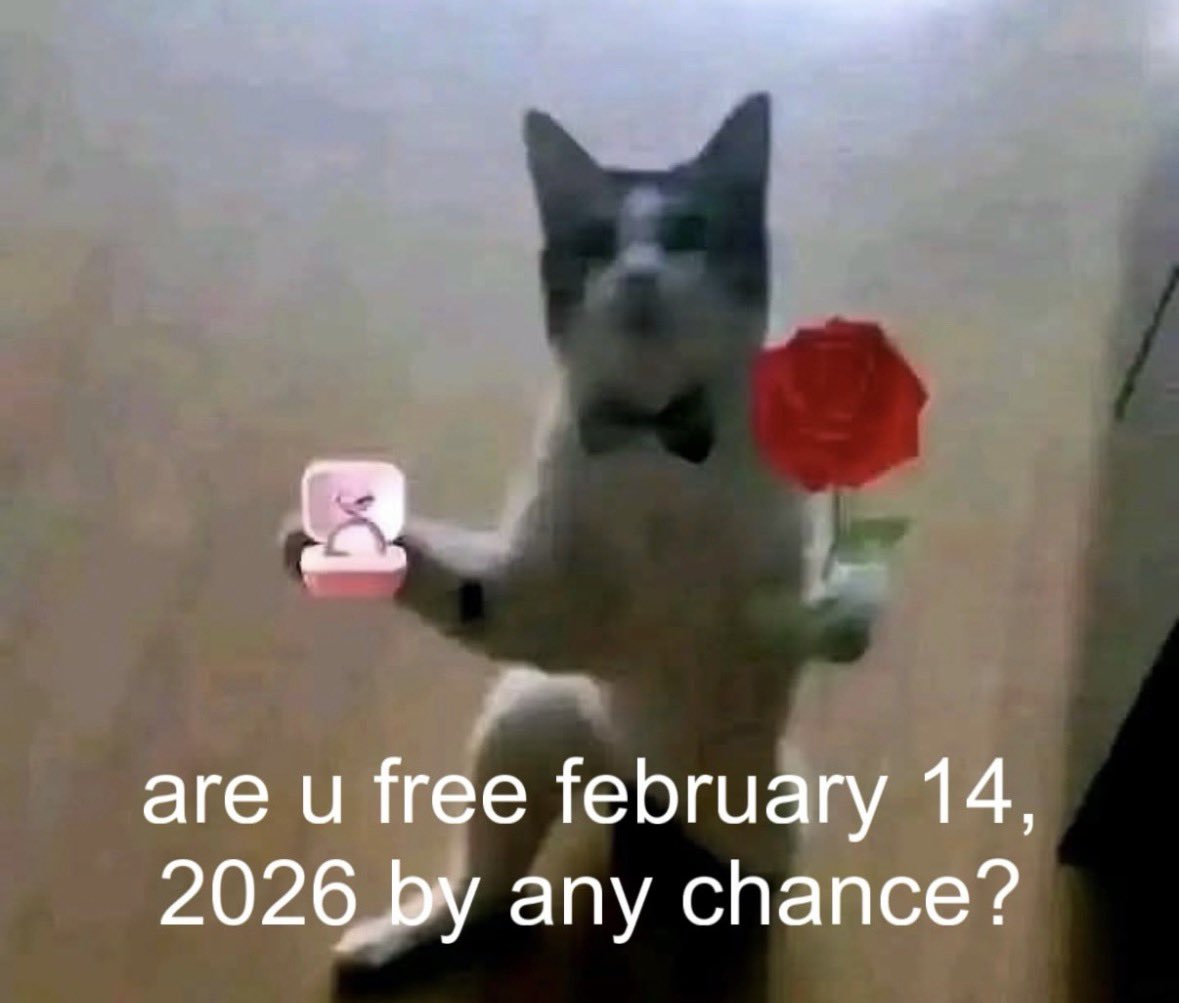 LiterallyMeCats tweet media