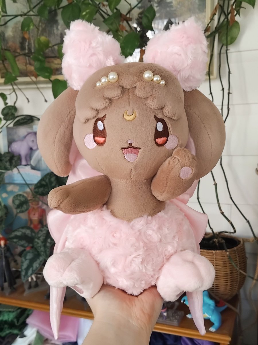 sugar🪡🌼 tweet media