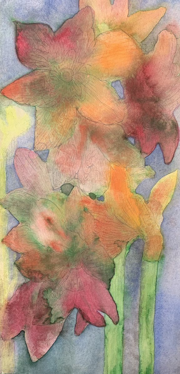 Amaryllis. Mixed media op papier. 

Uit een gesloten bol stijgt rood licht op 
midden in de winter.
Buiten is de winterkou, ijzel als stil glas op takken,
de wereld houdt zijn adem in.

Binnen opent de bol zich, onverschrokken,
bloeiend zonder lente.