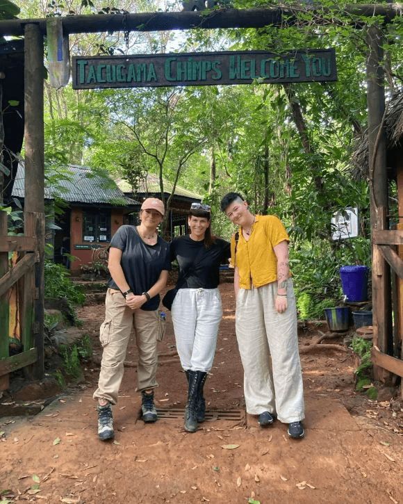 GroupGets tweet media